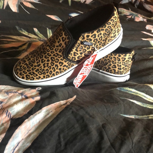 asher leopard vans